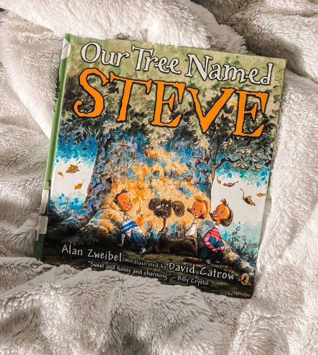 Picture Book. Our Tree Named Steve by Alan Zweibel. Illustrated by David Catrow