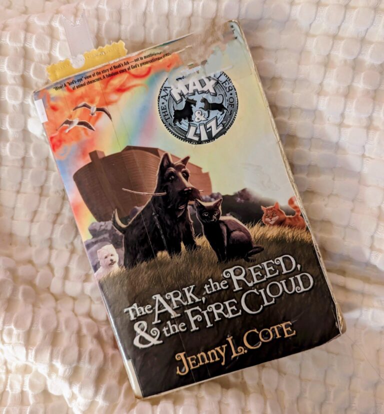 The Ark, the Reed, and the Fire Cloud by Jenny L. Cote