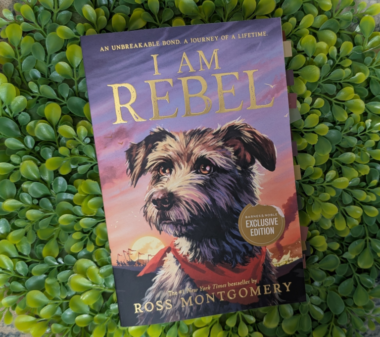 Book cover of I Am Rebel by Ross Montgomery, a Christian family read-aloud recommendation